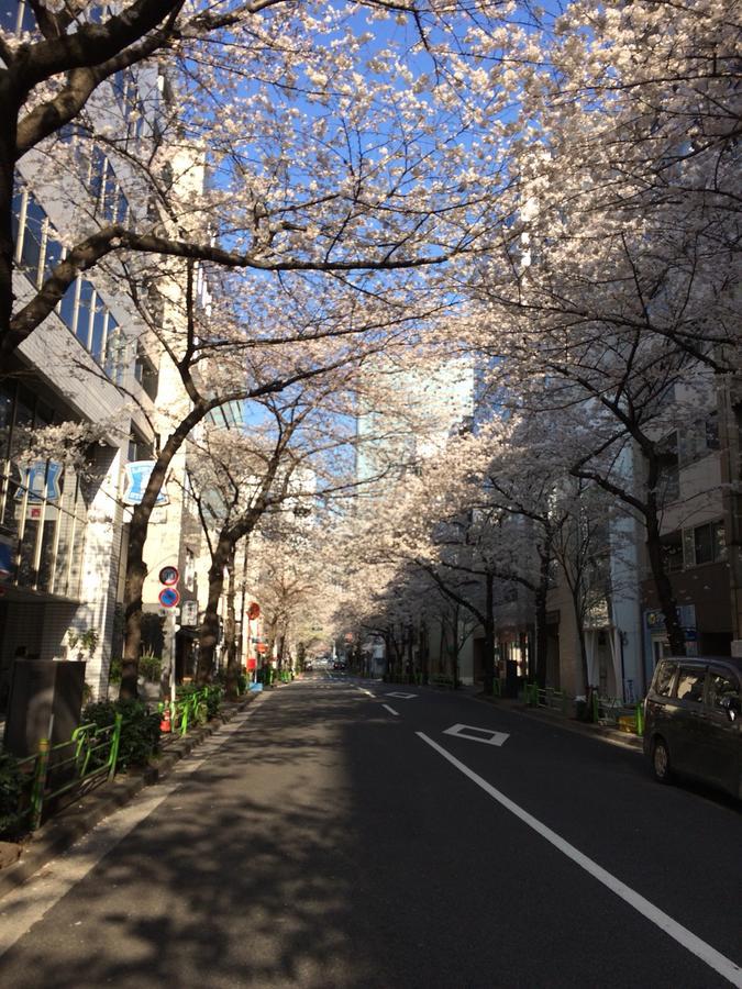 Belken Hotel Tokyo Exterior photo